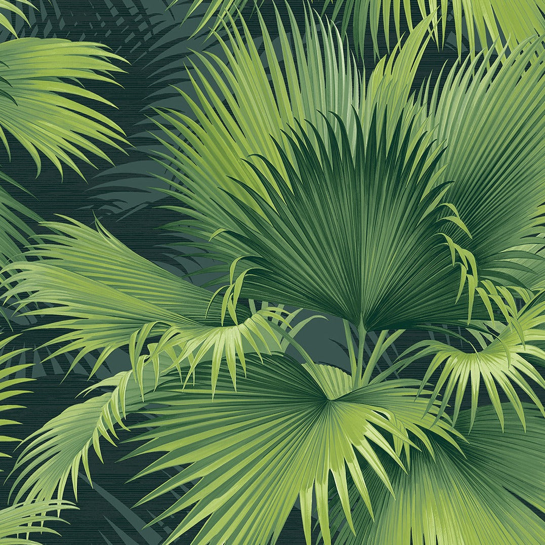Summer Palm Tropical