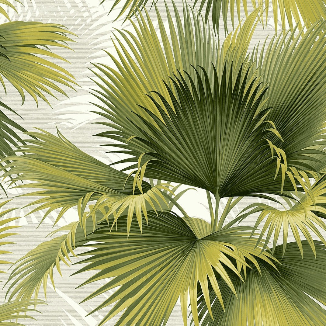 Summer Palm Tropical