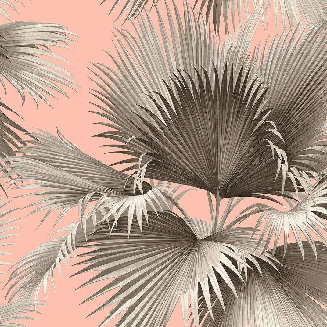 Summer Palm Tropical