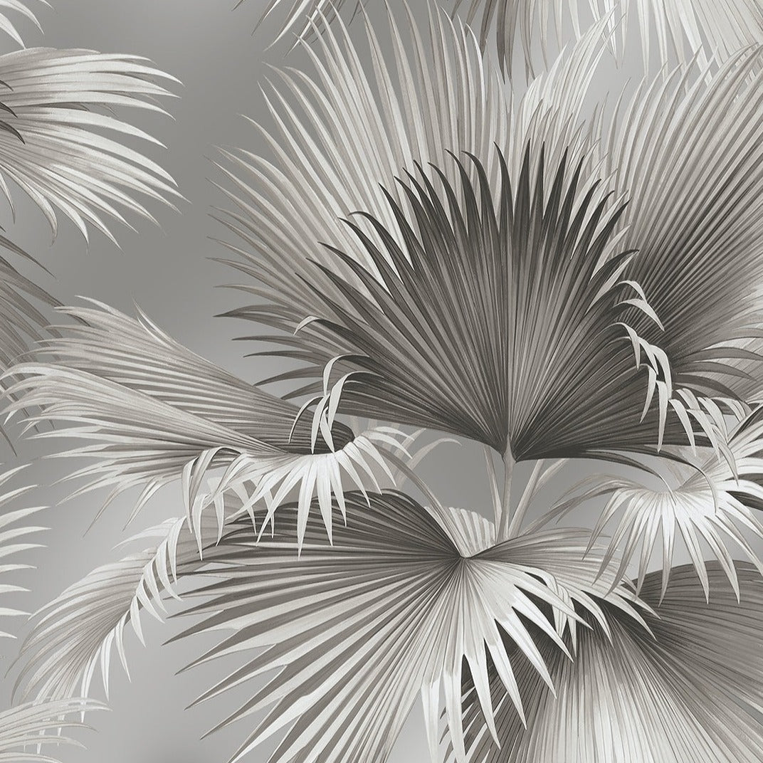 Summer Palm Tropical