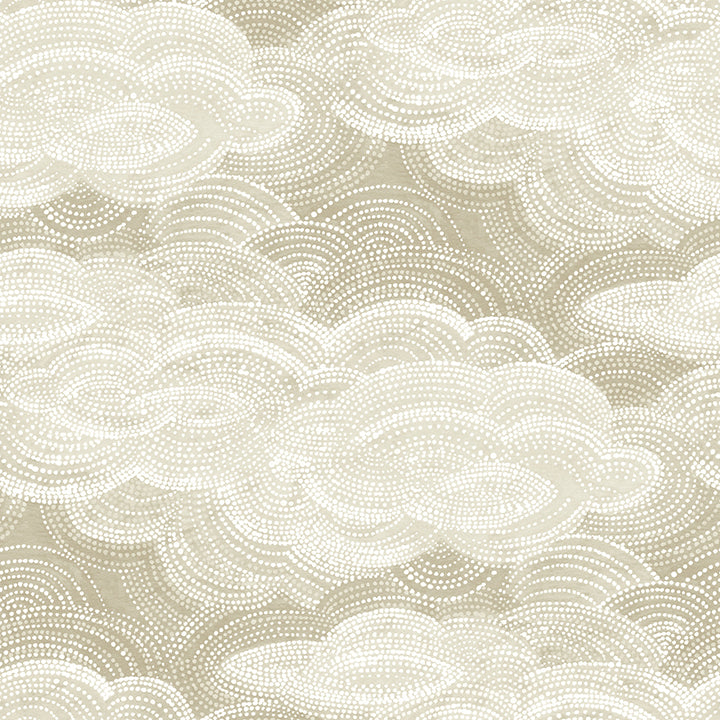 Vision Stripple Clouds