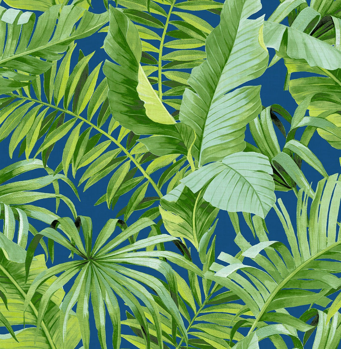 Alfresco Tropical Palm