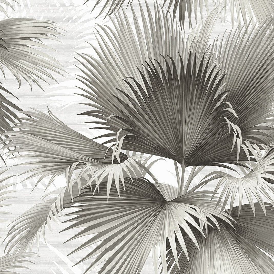 Summer Palm Tropical