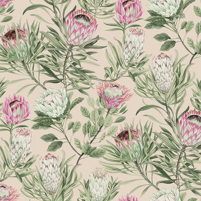 Protea