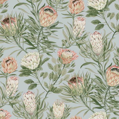 Protea