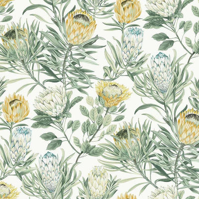 Protea